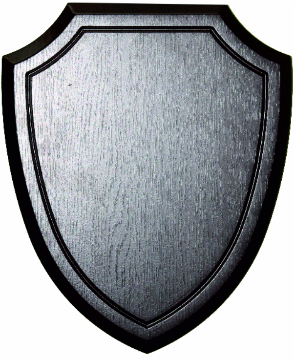 Shield types. Ge 674598 щит. Шеврон щит. Шевроны на форме. Гербовый щит.